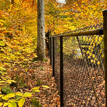 Chain Link Fence