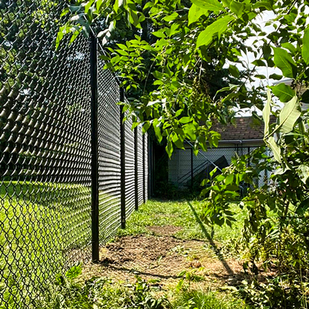Chain Link Fence